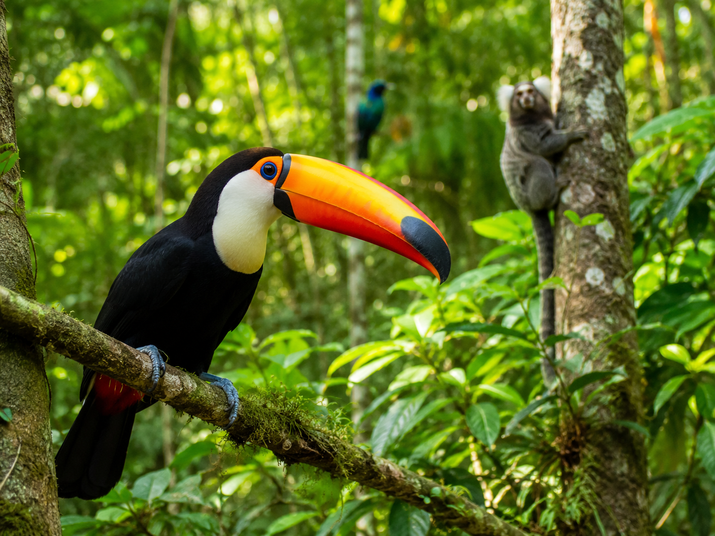 Fauna silvestre em área natural