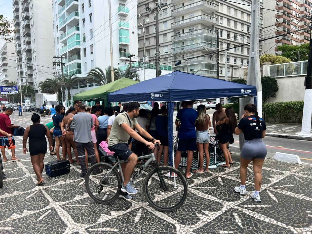 Projeto Gaiola Aberta realiza mais uma Feira de Adoção no Guarujá e 22 animais encontram um novo lar