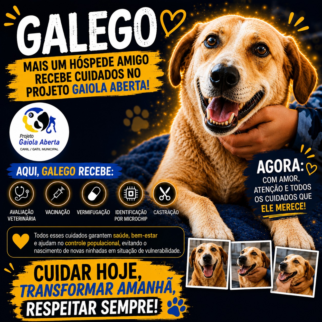 GALEGO: Mais um hóspede amigo recebe cuidados no Projeto Gaiola Aberta!